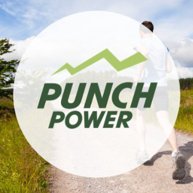 Codes promo Remise de 10% – Punch-Power