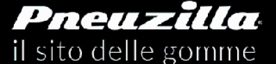 Profitez d’un Code Promo pneuzilla.fr FR Exclusif